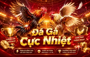 Giao diện sảnh Đá Gà Hablemosjesus